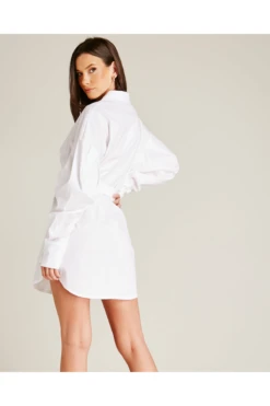 Dusty Pink Tie Up Mini Shirt Dress | White 6 Dusty Pink Tie Up Mini Shirt Dress | White -Sarto Vibe Sales 9zDWWKcf 12045
